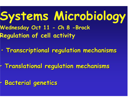 • Translational Regulation Mechanisms • Bacterial Genetics Bacterial
