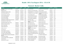 DNA Test Report: DNA - CEA/CH
