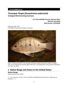 Threespot Tilapia (Oreochromis Andersonii) Ecological Risk Screening Summary