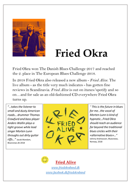 Fried Okra Band They Released 4 Records and Was Nominated for a Danish Music Award Blues Twice