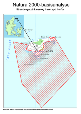 Natura 2000-Basisanalyse Strandenge På Læsø Og Havet Syd Herfor