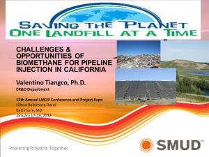Challenges and Opportunities of Biomethane for Pipeline Injection In