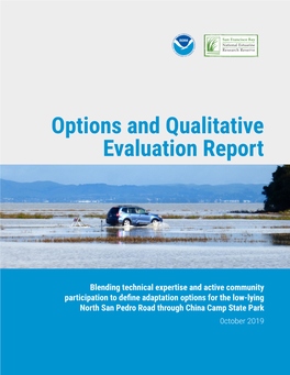 Options and Qualitative Evaluation Report