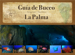 Diving Guide • Tauchführer La Palma Guía De Buceo Diving Guide • Tauchführer La Palma