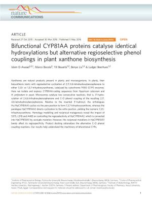 Bifunctional CYP81AA Proteins Catalyse Identical Hydroxylations but Alternative Regioselective Phenol Couplings in Plant Xanthone Biosynthesis