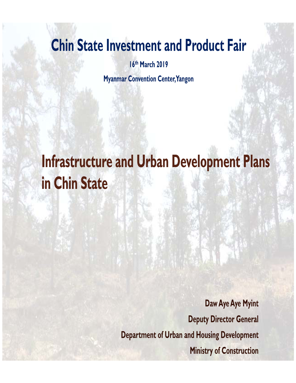 Infrastructure and Urban Development Plans P in Chin State