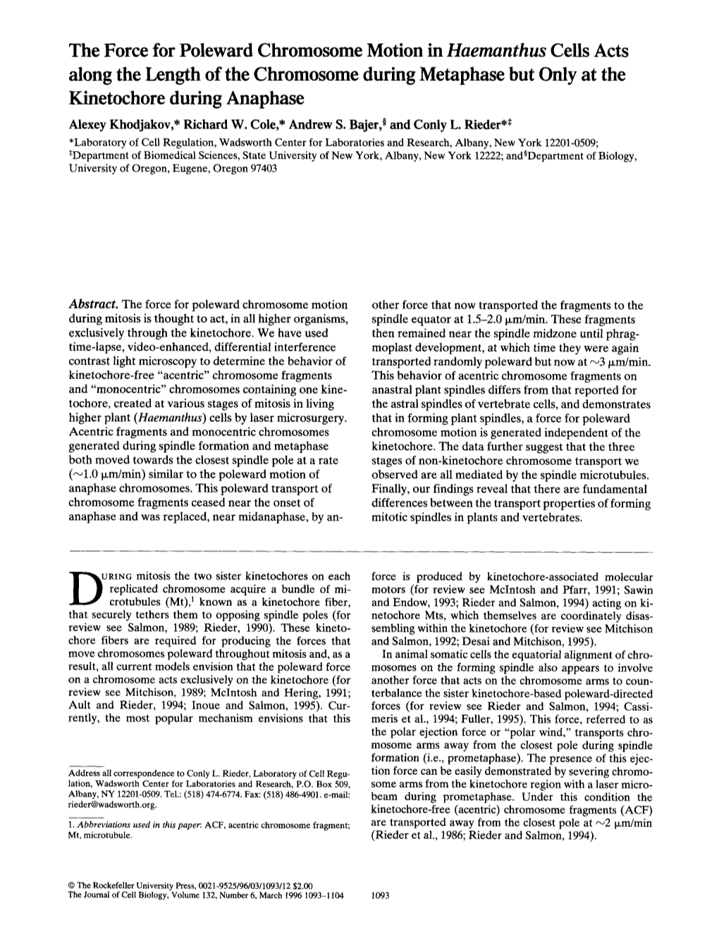 The Force for Poleward Chromosome Motion in Haemanthus Cells Acts