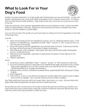 What to Look for in Your Dog's Food