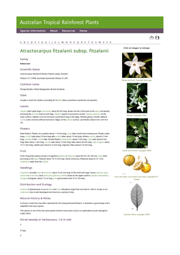 Atractocarpus Fitzalanii Subsp. Fitzalanii Click on Images to Enlarge