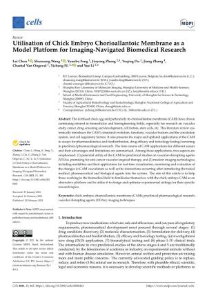 Utilisation of Chick Embryo Chorioallantoic Membrane As a Model Platform for Imaging-Navigated Biomedical Research