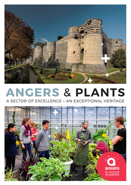 Angers & Plants