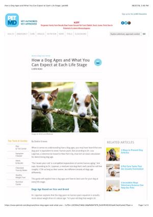 How a Dog Ages and What You Can Expect at Each Life Stage | Petmd 06/07/19, 3�36 PM