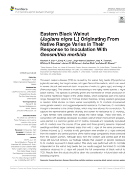 Eastern Black Walnut (Juglans Nigra L.) Originating from Native Range Varies in Their Response to Inoculation with Geosmithia Morbida