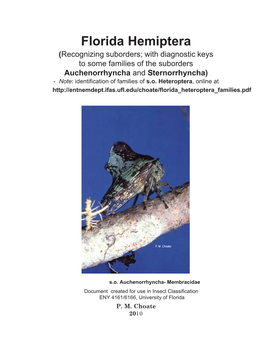 Florida Hemiptera