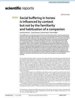 Social Buffering in Horses Is Influenced by Context but Not by The