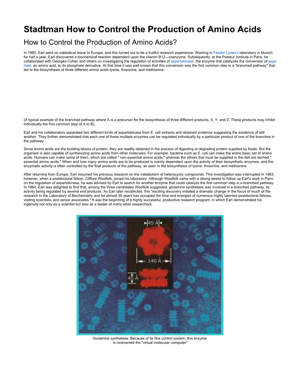 Stadtman How to Control the Production of Amino Acids How to Control the Production of Amino Acids?