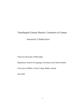 Translingual Literary Practice: Literatures in Contact