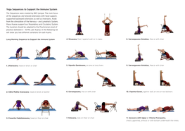 Iyengar Yoga Sequences to Support the Immune System