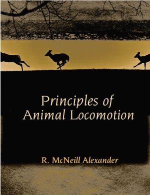 Alexander 2013 Principles-Of-Animal-Locomotion.Pdf