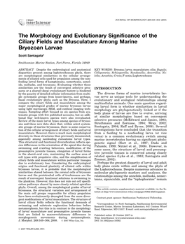 The Morphology and Evolutionary Significance of the Ciliary Fields And