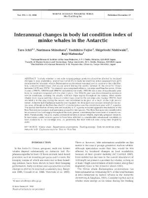Interannual Changes in Body Fat Condition Index of Minke Whales in the Antarctic