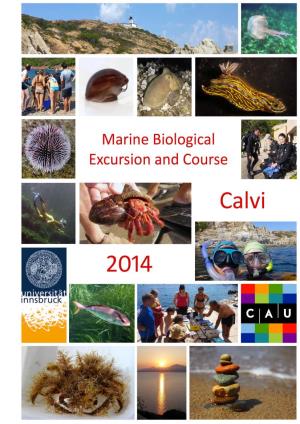 Mollusca, Annelida, Arthropoda and Echinodermata (Table 1)