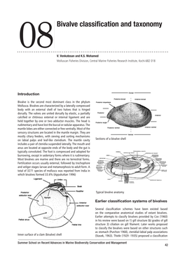 Bivalve Classification and Taxonomy