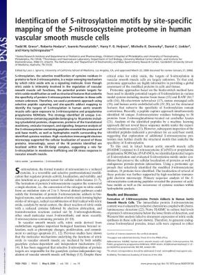 Identification of S-Nitrosylation Motifs by Site-Specific Mapping of the S-Nitrosocysteine Proteome in Human Vascular Smooth Muscle Cells