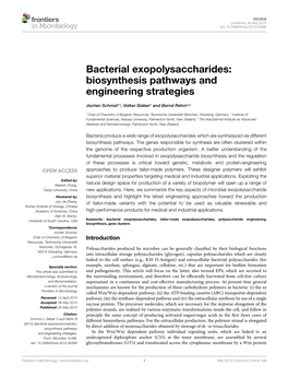 Bacterial Exopolysaccharides: Biosynthesis Pathways and Engineering Strategies