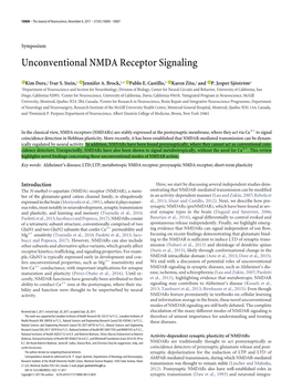 Unconventional NMDA Receptor Signaling