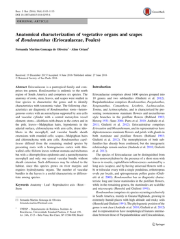 Anatomical Characterization of Vegetative Organs and Scapes of Rondonanthus (Eriocaulaceae, Poales)