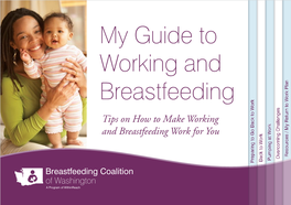 My Guide to Working and Breastfeeding Tips on How to Make Working and Breastfeeding Work for You My Guide to Working and Breastfeeding