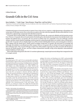 Granule Cells in the CA3 Area