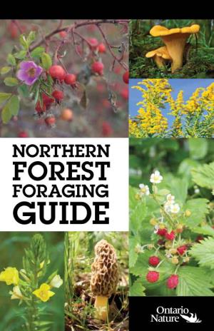 NORTHERN FOREST FORAGING GUIDE Northern Forest Foraging Guide