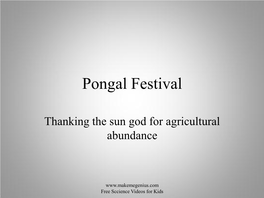 Pongal Festival