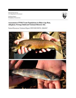 Assessment of Wild Trout Populations in Blair Gap Run, Allegheny Portage Railroad National Historic Site