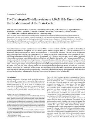 The Disintegrin/Metalloproteinase ADAM10 Is Essential for the Establishment of the Brain Cortex