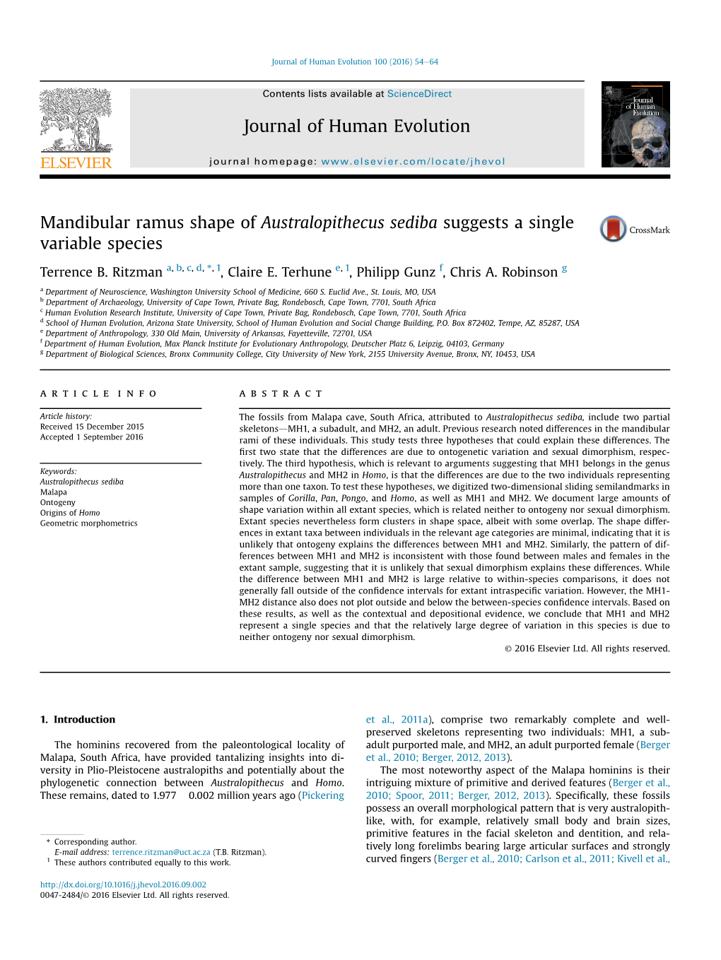 Mandibular Ramus Shape of Australopithecus Sediba Suggests a Single Variable Species