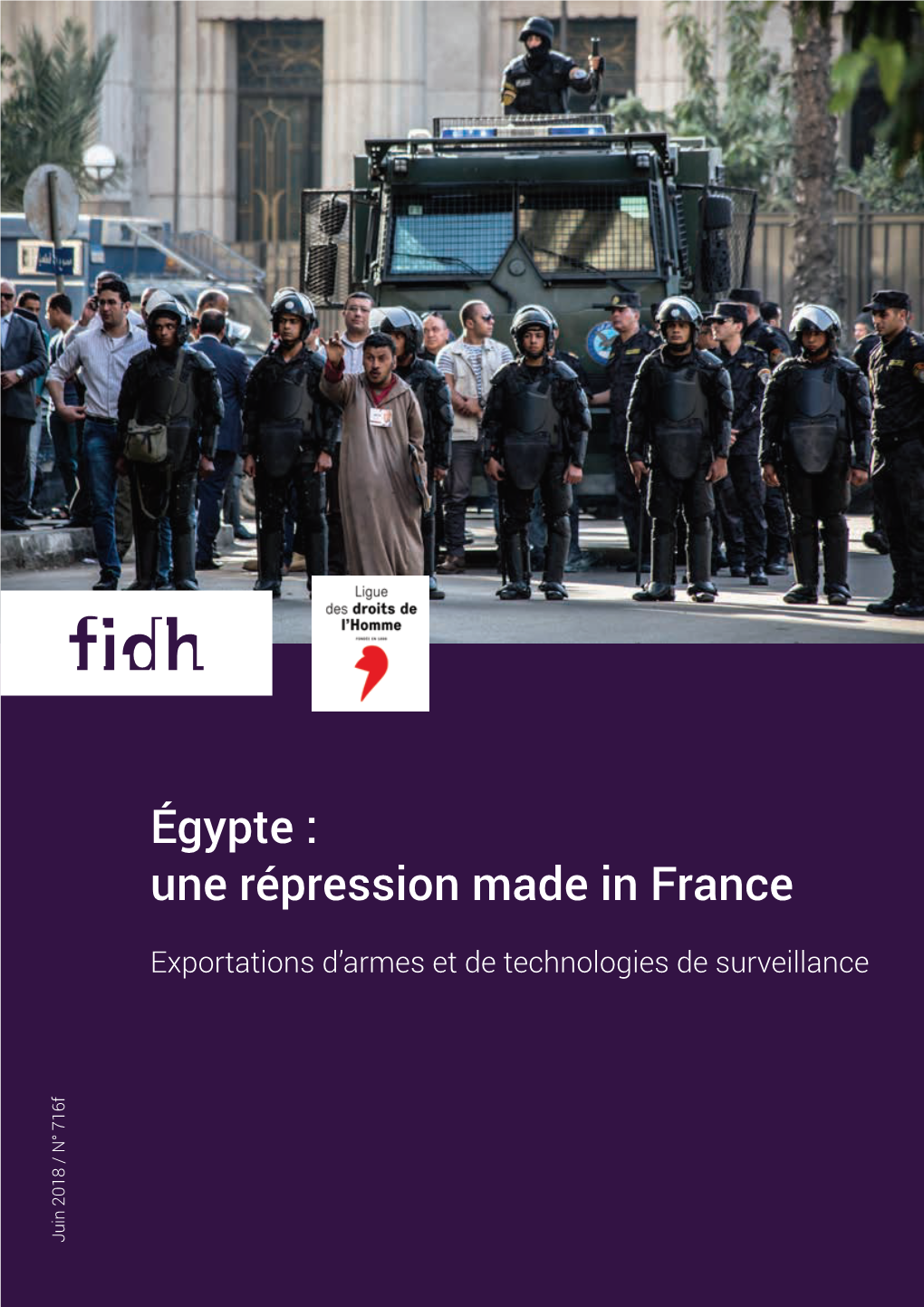 Égypte : Une Répression Made in France Résumé Exécutif