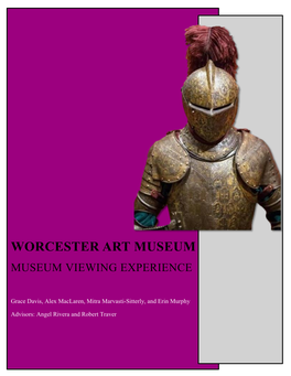 Worcester Art Museum Museum Viewing Experience