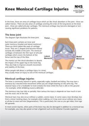 Knee Meniscal Cartilage Injuries