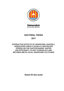 DOCTORAL THESIS 2017 Hanan El Aou-Ouad