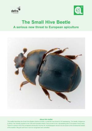 Small Hive Beetle a Serious New Threat to European Apiculture