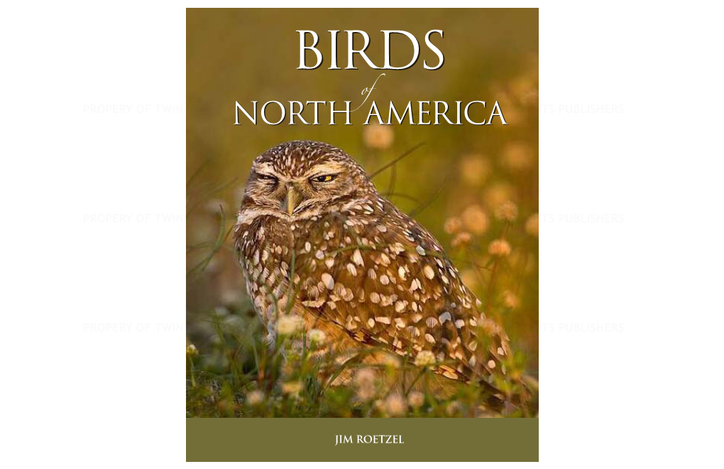 Birds of America 1-95