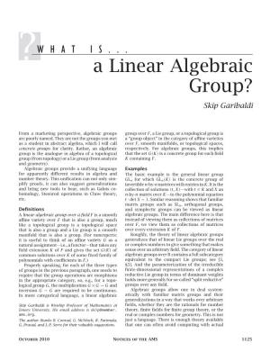 A Linear Algebraic Group? Skip Garibaldi