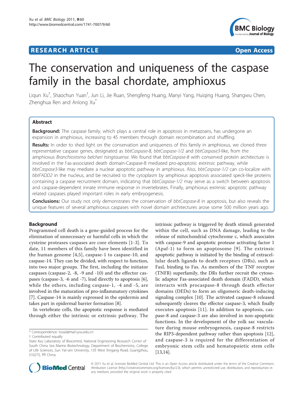 The Conservation and Uniqueness of the Caspase Family in the Basal