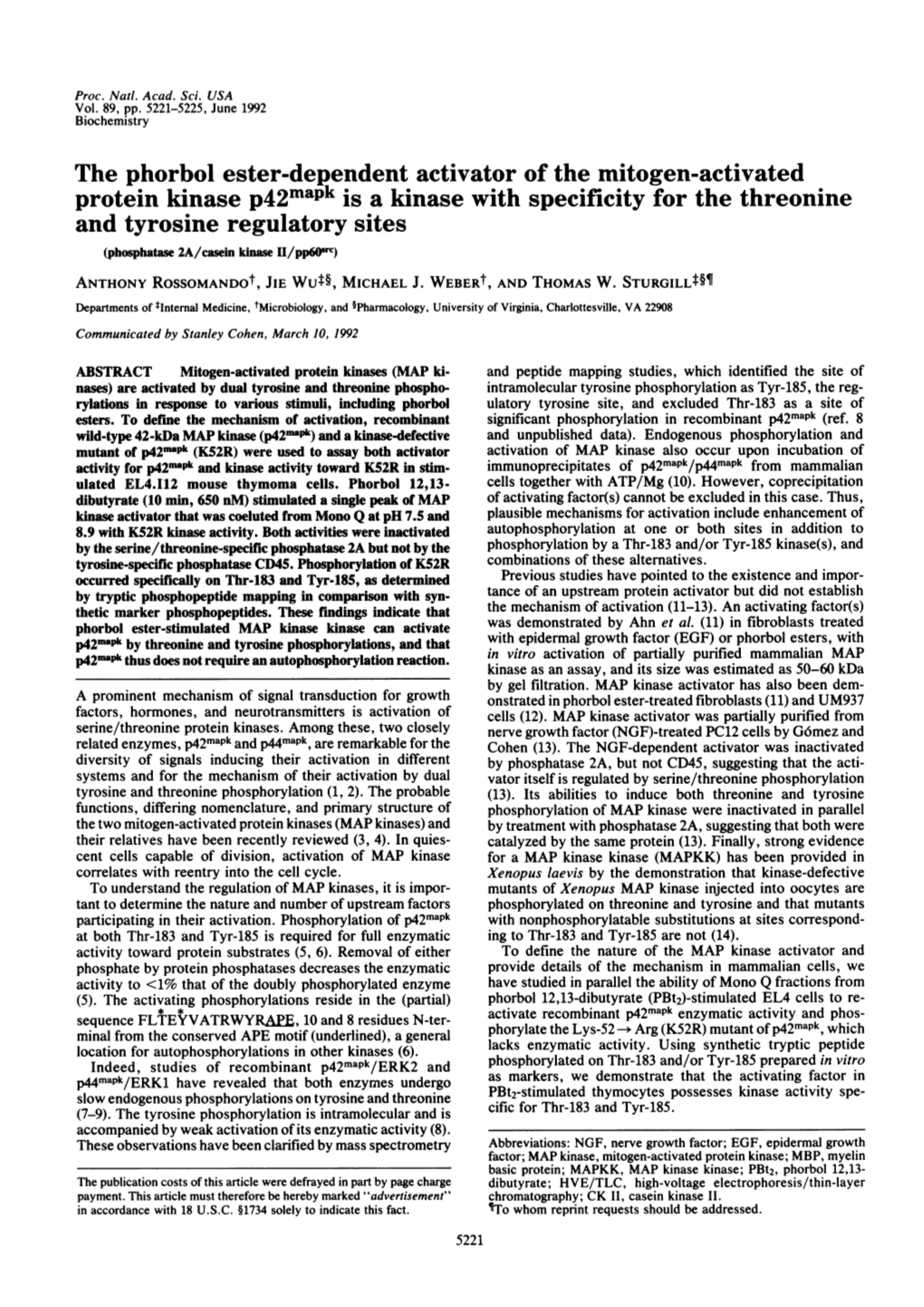 The Phorbol Ester-Dependent Activator of the Mitogen-Activated Protein