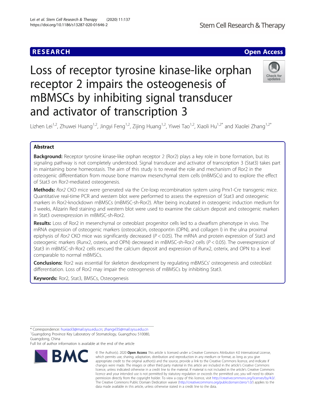 Loss of Receptor Tyrosine Kinase-Like Orphan Receptor 2 Impairs The