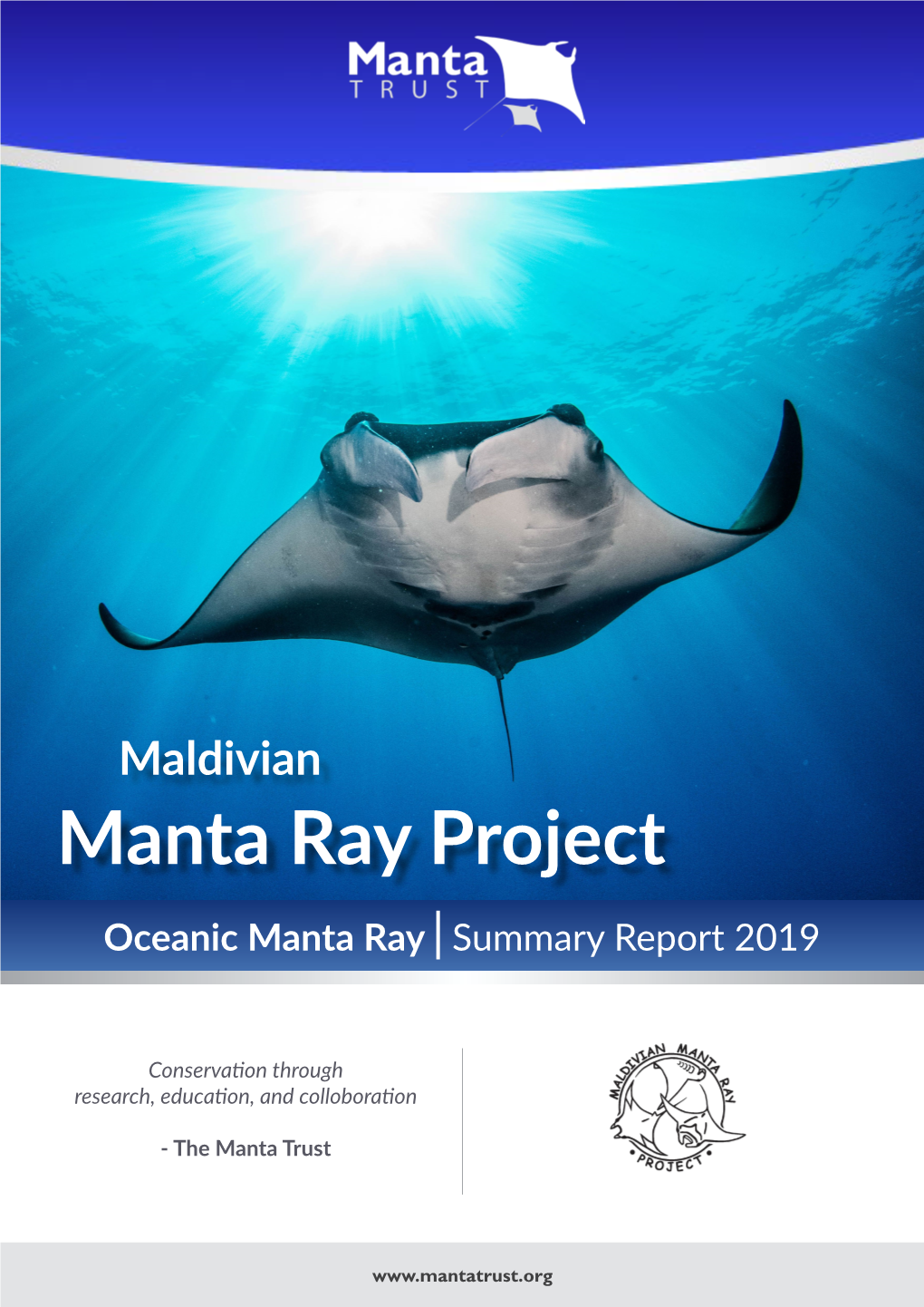 Oceanic Manta Ray |Summary Report 2019