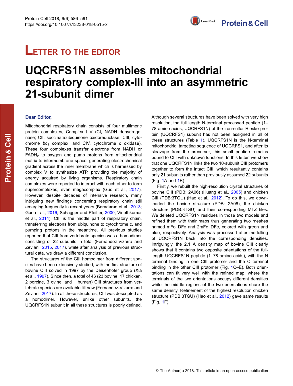 UQCRFS1N Assembles Mitochondrial Respiratory Complex-III Into an Asymmetric 21-Subunit Dimer